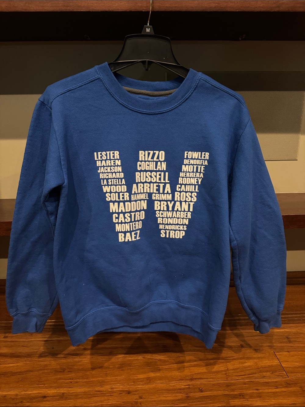Chicago Cubs world series champs Sweatshirt with White Logo Print
